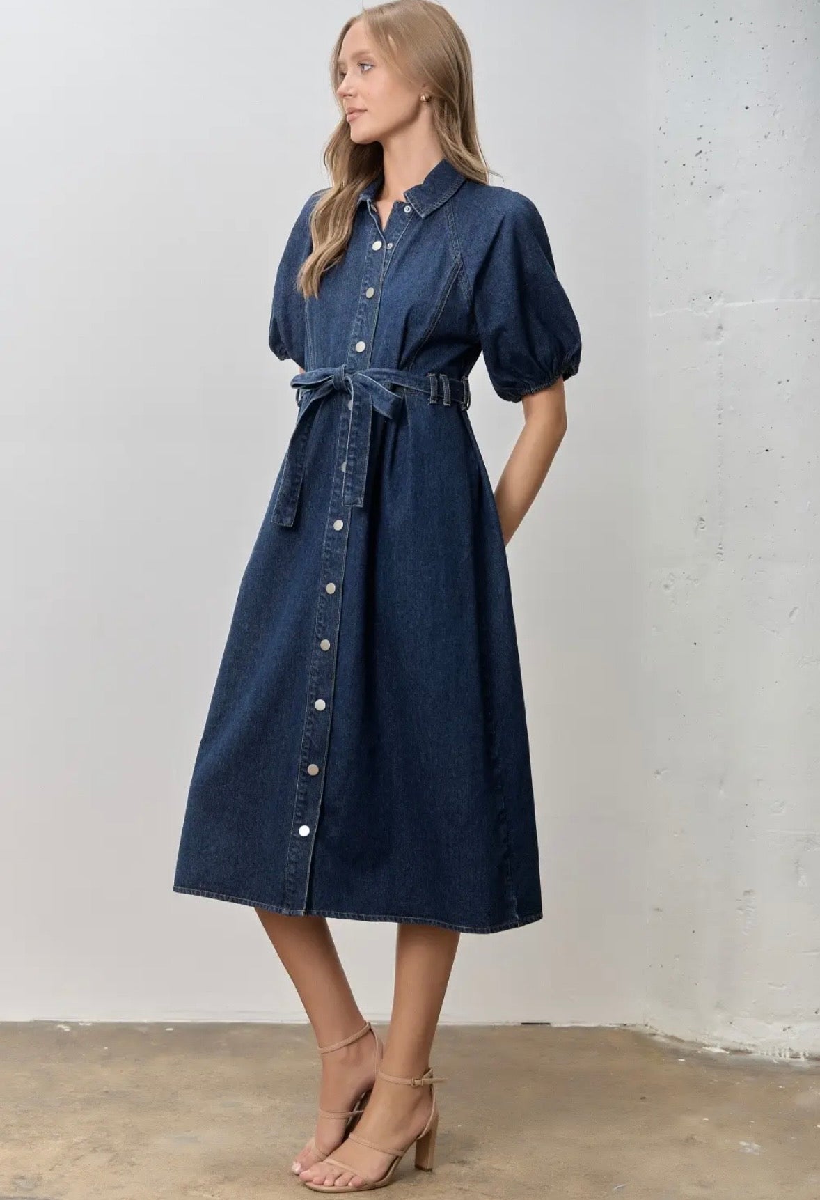 Curve Denim Dress
