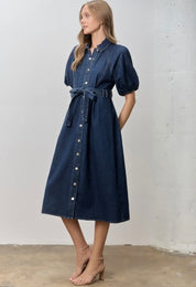 Curve Denim Dress
