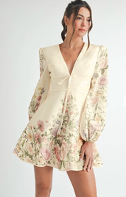 Floral Longe Sleeve Mini Dress
