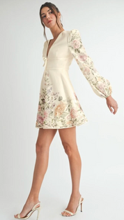 Floral Longe Sleeve Mini Dress