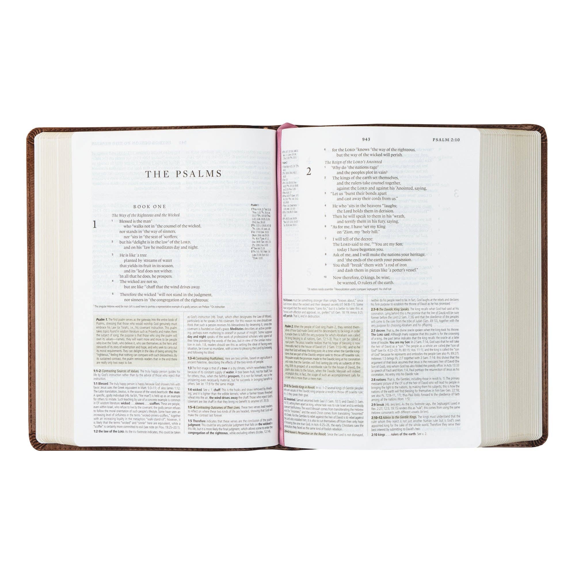 ESV Study Bible: Aurora Theme